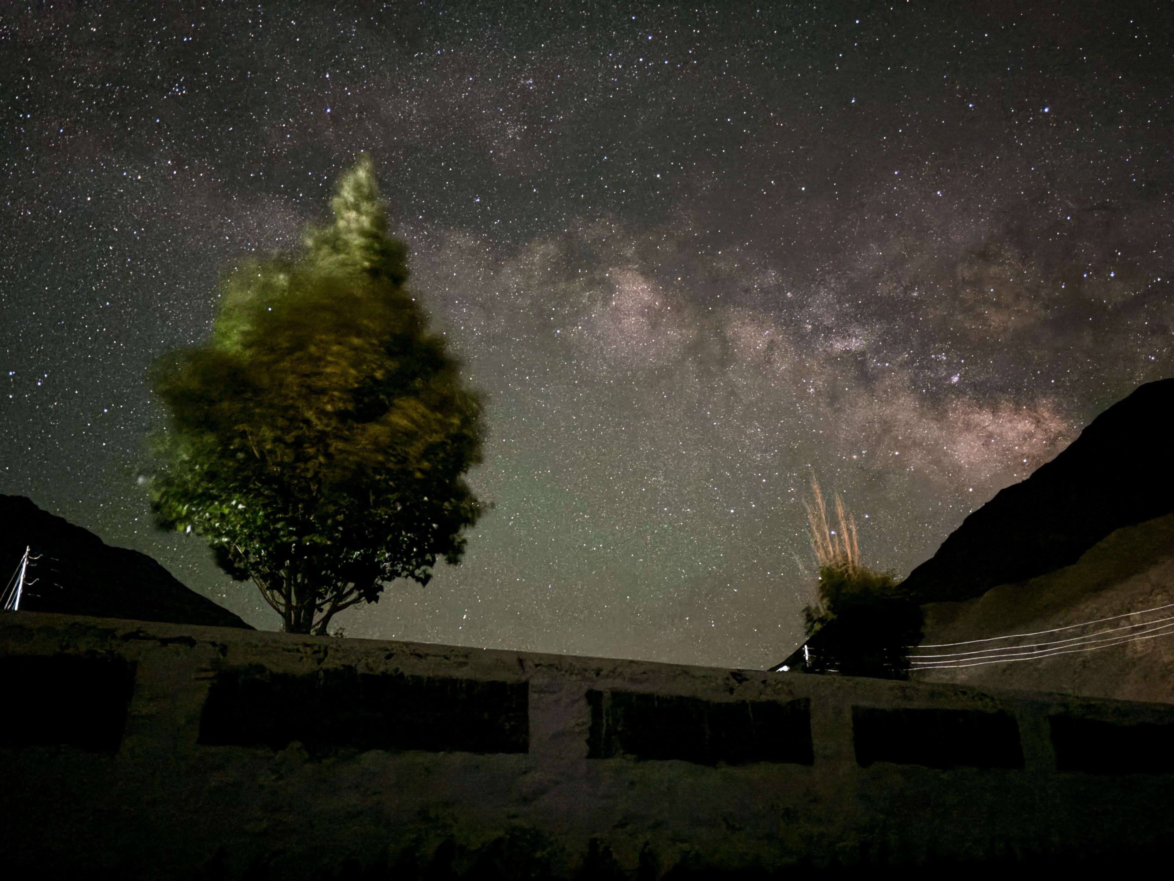 Milky Way behind tree near Key Monastery, Spiti